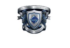 Blue Diamond Glass Structures Logo